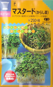 yXvEgz}X^[hi炵؁jy̎zi25mlj؎