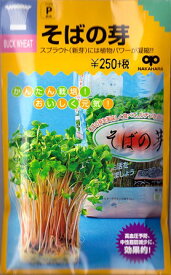 【スプラウト】そばの芽【中原採種場】（30ml）野菜種