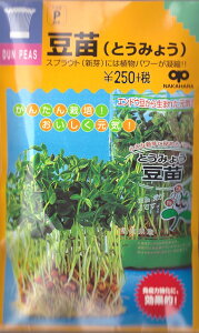yXvEgzciƂ݂傤jy̎zi30mlj؎