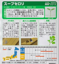 裏面
