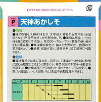 楽天市場 シソ 天神あかしそ 中原採種場 6ml 野菜種 春まき Hana Uta 米沢園芸 楽天市場店