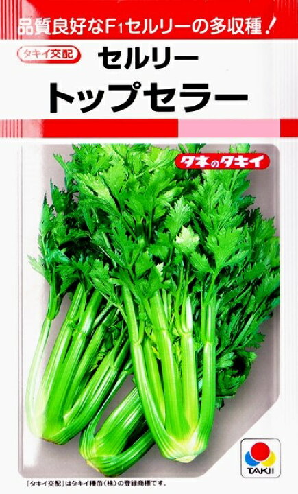 楽天市場 セロリ セルリー トップセラー タキイ交配 0 7ml 野菜種 春まき 秋まき Rf Hana Uta 米沢園芸 楽天市場店