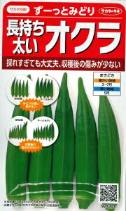 yINz[Ƃ݂ǂyTJ^̃^lzi4mlj؎[t܂]921301