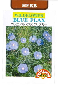 楽天市場 宿根草の通販
