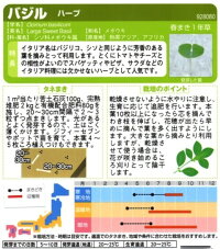袋裏→クリックして拡大