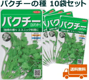 [֑ypN`[zRA_[@10܃ZbgyTJ^̃^lz/n[u/؎[t܂]