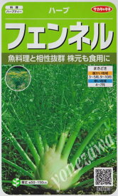 【ハーブの種】フェンネル【サカタのタネ】(1.9ml)【耐寒性一～ニ年草】[春まき][秋まき]928083