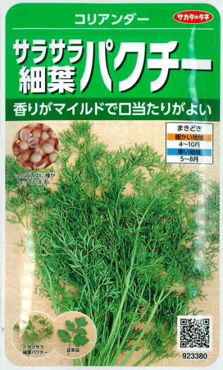 楽天市場 コリアンダー サラサラ細葉パクチー サカタのタネ 9ml ドラゴン 中国野菜 ハーブ 野菜種 春まき Hana Uta 米沢園芸 楽天市場店
