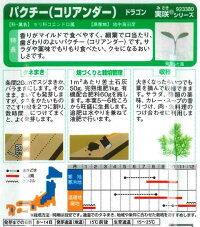 袋裏