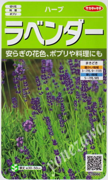 楽天市場 ハーブの種 ラベンダー サカタのタネ 0 1ml 多年草 春まき 秋まき Hana Uta 米沢園芸 楽天市場店