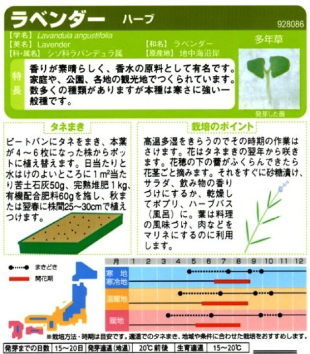楽天市場 ハーブの種 ラベンダー サカタのタネ 0 1ml 多年草 春まき 秋まき Hana Uta 米沢園芸 楽天市場店 楽天市場 ハーブの種 ラベンダー サカタのタネ 0 1ml 多年草 春まき 秋まき Hana Uta 米沢園芸 楽天市場店