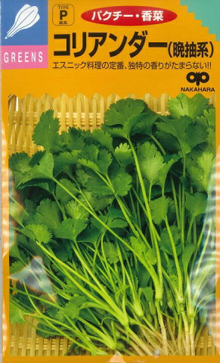 楽天市場 パクチー 晩抽系コリアンダー 中原採種場 中国野菜 ハーブ 野菜種 ml 春まき 秋まき Hana Uta 米沢園芸 楽天市場店