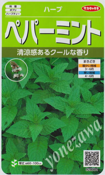 楽天市場 ハーブの種 ペパーミント サカタのタネ 0 2ml 多年草 春まき Hana Uta 米沢園芸 楽天市場店