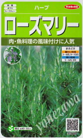 【ハーブの種】ローズマリー【サカタのタネ】（0.2ml）【多年草】[春まき][秋まき]928088