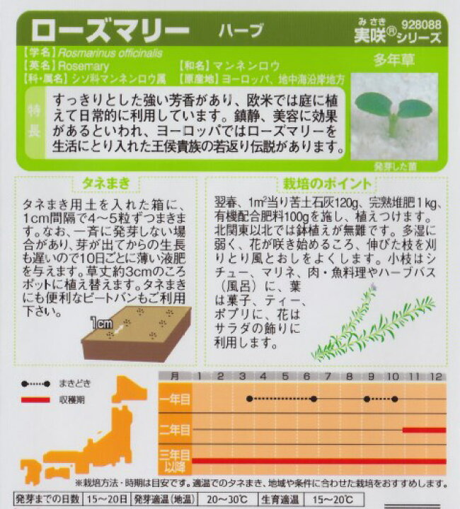 90円 信用 ローズマリー 種 粒