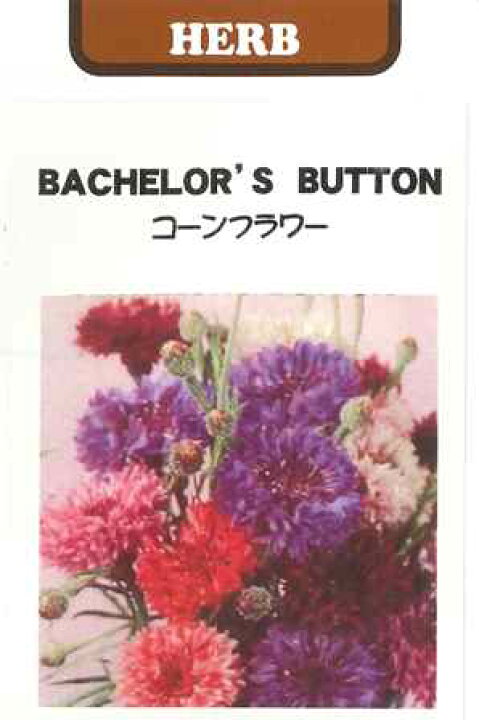 楽天市場 ハーブの種 コーンフラワー 藤田種子 0 5ml 耐寒性一年草 矢車草 矢車菊 秋まき Hana Uta 米沢園芸 楽天市場店