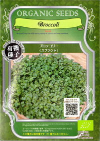 オーガニックシード(有機種子)ブロッコリー(スプラウト)