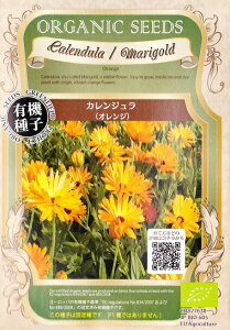 JWiIWjI[KjbNV[hiL@qj1.0g[H܂]