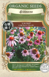 GLiZAivvA/sNjI[KjbNV[hiL@qj20[tH܂]