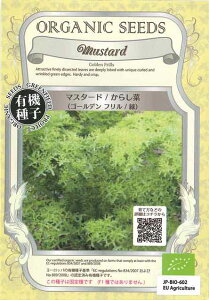 I[KjbNV[hiL@qj΃}X^[h/炵؁iS[ftj0.8gŒ