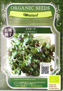 I[KjbNV[hiL@qj}X^[hiXvEgj11g[N܂]