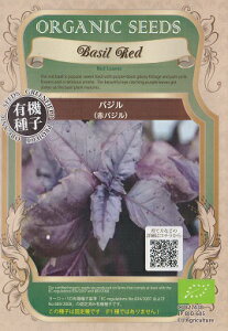 ԃoWI[KjbNV[hiL@qj0.4g[t܂][H܂]