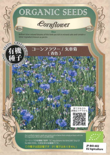 青色コーンフラワー（矢車菊）★オーガニックシード（有機種子）150粒