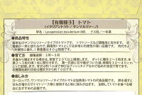 袋裏