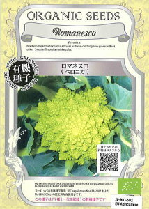 }lXR(xjJ)I[KjbNV[hiL@qj10[t܂][H܂]