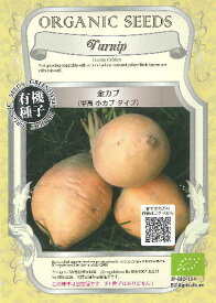 金カブ(甲高小カブタイプ)★オーガニックシード（有機種子）2g（約1300〜1800粒）Turnip Golden[春まき][秋まき]