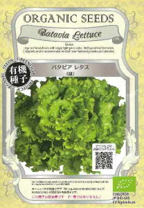 o^rA^Xi΁jI[KjbNV[hiL@qj30[t܂][H܂]