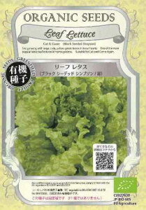 [t^XyubNV[fbhVv\z΁I[KjbNV[hiL@qj0.6g[t܂][H܂]