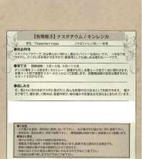 袋裏