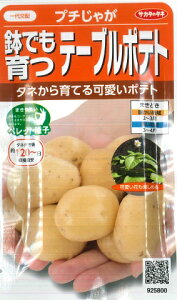 yWKCzłe[u|egiv`Ⴊjyzzi5jybgq/؎/TJ^̃^l[t܂]925800