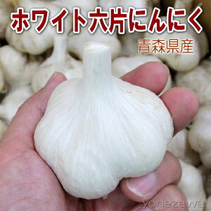 ypjjNzzCgZЂɂɂi3jyjjN̎틅z䂤pPbgptΉ