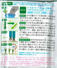 袋裏→クリックして拡大
