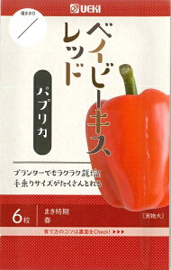 ypvJzxCr[LXbhylA؁zi6j؎/[t܂]