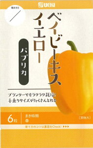 ypvJzxCr[LXCG[ylA؁zi6j؎/[t܂]