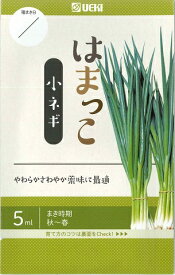 【小ネギ】はまっこ【横浜植木】（5ml）野菜種/ねぎの種[春まき][秋まき]