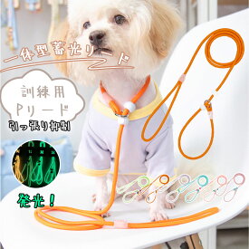 P型リード 犬 トレーニングリード しつけ 訓練用 一体型 蓄光 発光 夜のお散歩 安全 反射 引っ張り防止 小型犬 中型犬 首輪 一体 抜けにくい ドッグリード 調整可能 ペット用品 おしゃれ かわいい ギフト プレゼント
