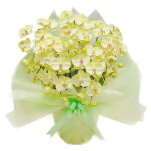  G} Ӓ ~fB STCY CgO[ 5{