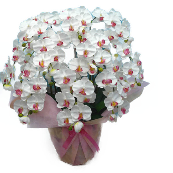 公式カスタマイズ商品 胡蝶蘭DXL/黄/３F（造花）規格　高80×幅40/光触媒 フラワー/ガーデン