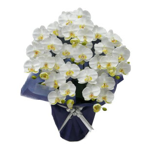  G} ֌Ӓ  M 5{1650-46827