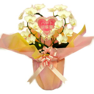 n[gӒ ~fB^Cv  VOn[g  Mtg10000504