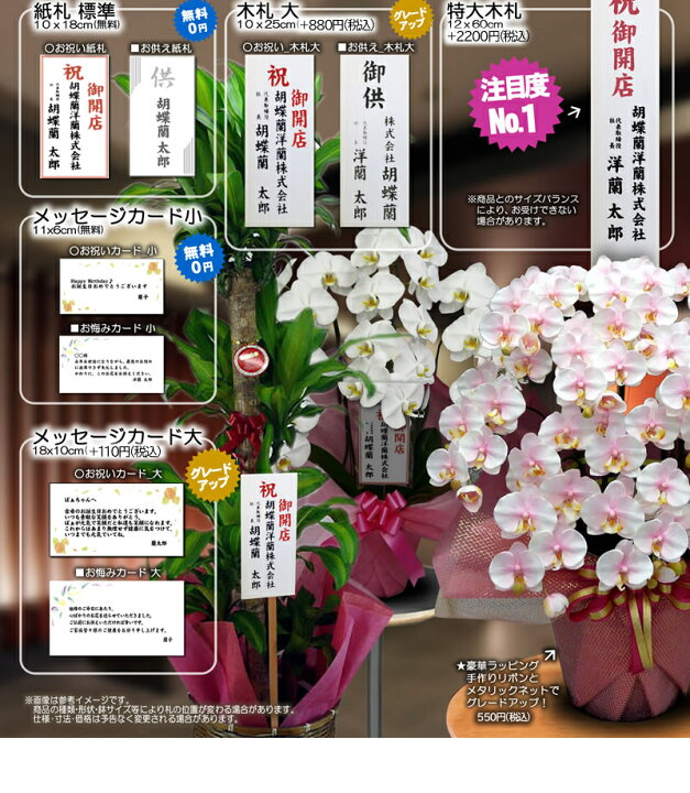 楽天市場】造花 光触媒 胡蝶蘭 大輪 さくらピンク M 10本立ち : 渥美  