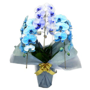 Ӓ  u[GKX p[vGKX   3{3578-3746-3