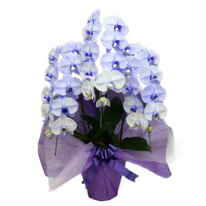 Ӓ  p[vGKX  3{3578-76999-3