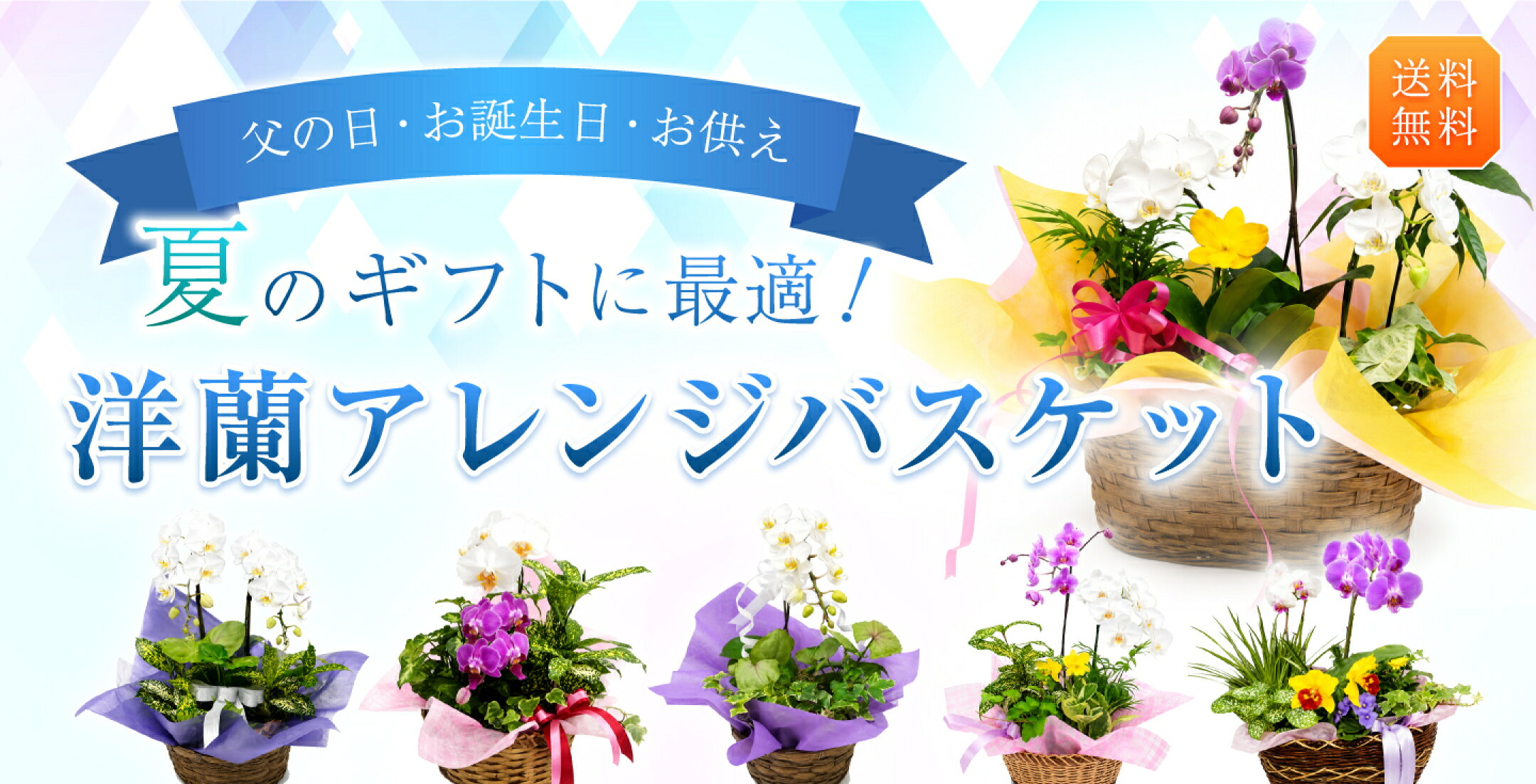 父の日・お誕生日・お供え 夏のギフトに最適！洋蘭アレンジバスケット