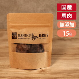 ギフトナー 国産 馬肉 ジャーキー 15g 犬 猫 おやつ 無添加