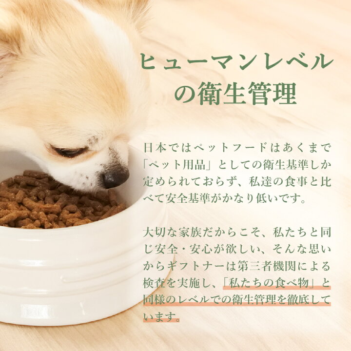 楽天市場】国産 馬肉 ドッグフード ギフトナー 馬肉レシピ 900g 小粒 GIFTNER 無添加 全年齢対応 小型犬 シニア パピー 成犬 高齢犬 子犬 体重管理 グルテンフリー 乳酸菌配合 低脂肪 : ヨリアイDOGS 楽天市場】国産 馬肉 ドッグフード ギフトナー 馬肉レシピ 900g 小粒 GIFTNER 無添加 全年齢対応 小型犬 シニア パピー 成犬 高齢犬 子犬 体重管理 グルテンフリー 乳酸菌配合 低脂肪 : ヨリアイDOGS